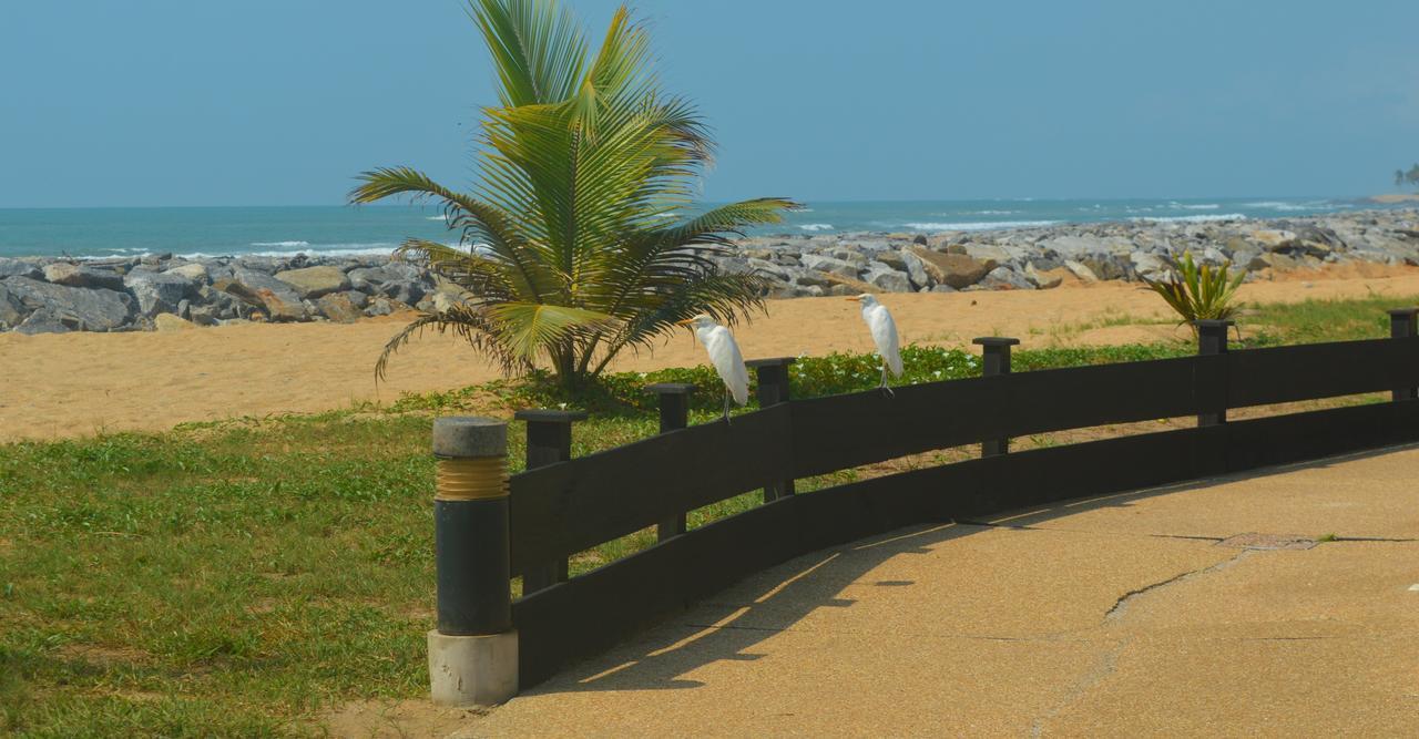 Elmina Bay Resort Dış mekan fotoğraf
